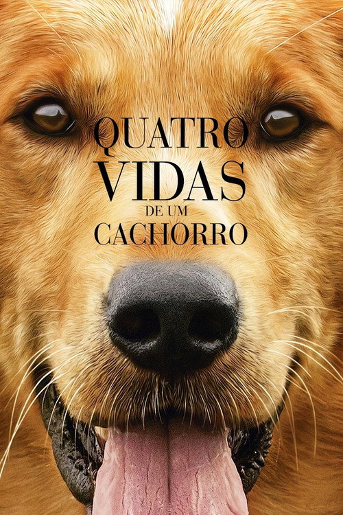 Capa de Quatro Vidas de um Cachorro